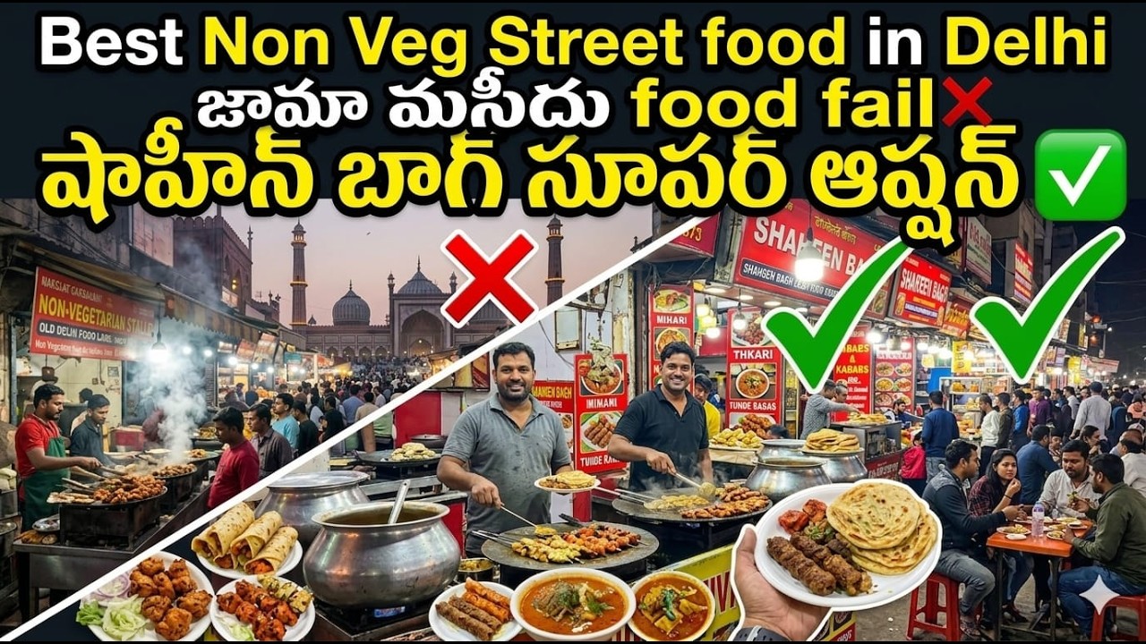 Shaheen Bagh/ షాహీన బాగ్ Street Food - Delhi Full Information in Telugu