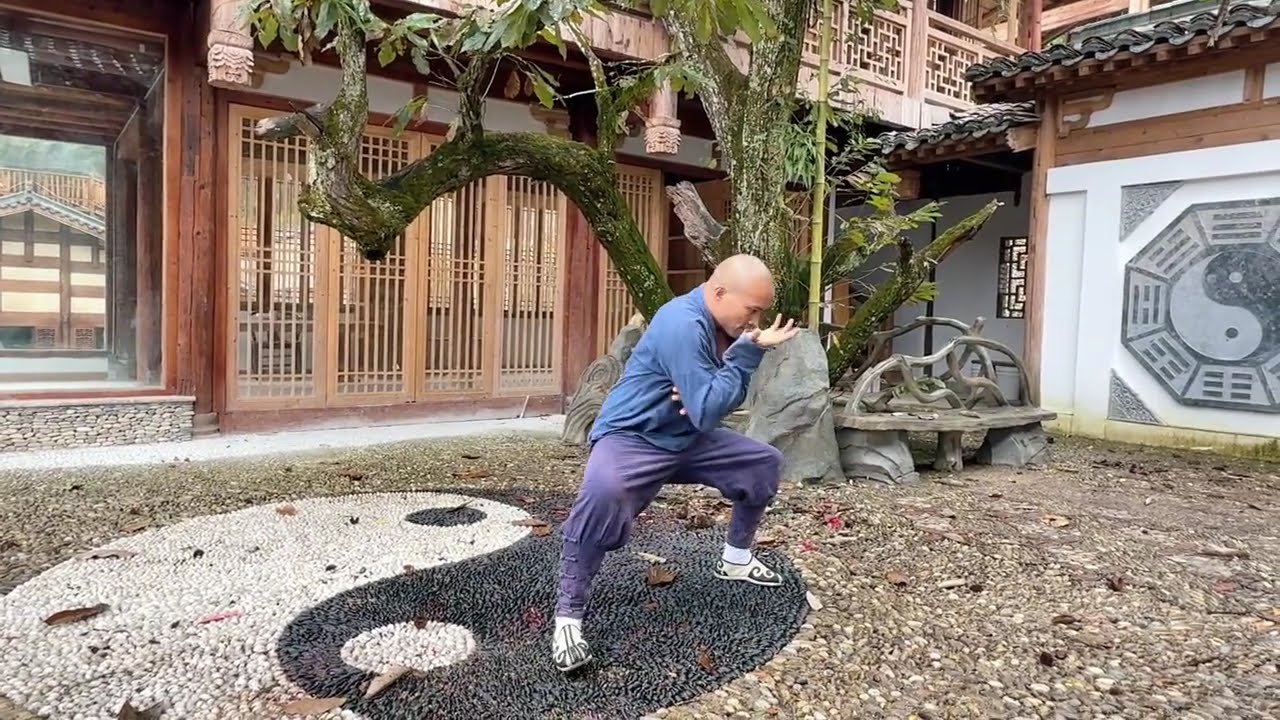 中国功夫十八般武艺每天更新 #martialarts #JackieChan #Chinese Kung Fu#kungfu