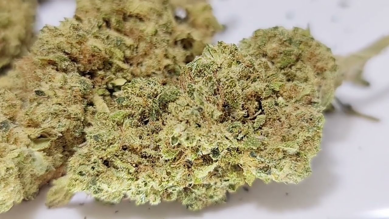 Purple Haze CBD Bl&uuml;ten Indoor - vaporspirit.ch