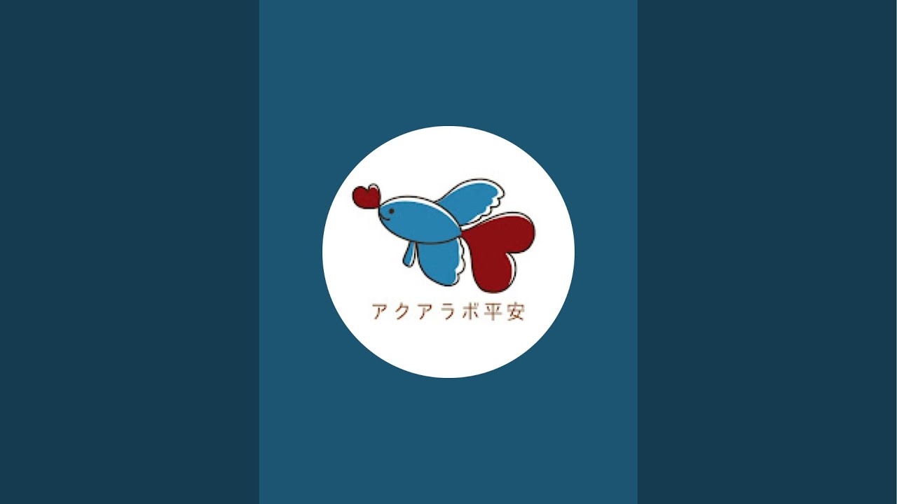 雑談&ベタ飼育相談ライブ！福袋のお知らせも