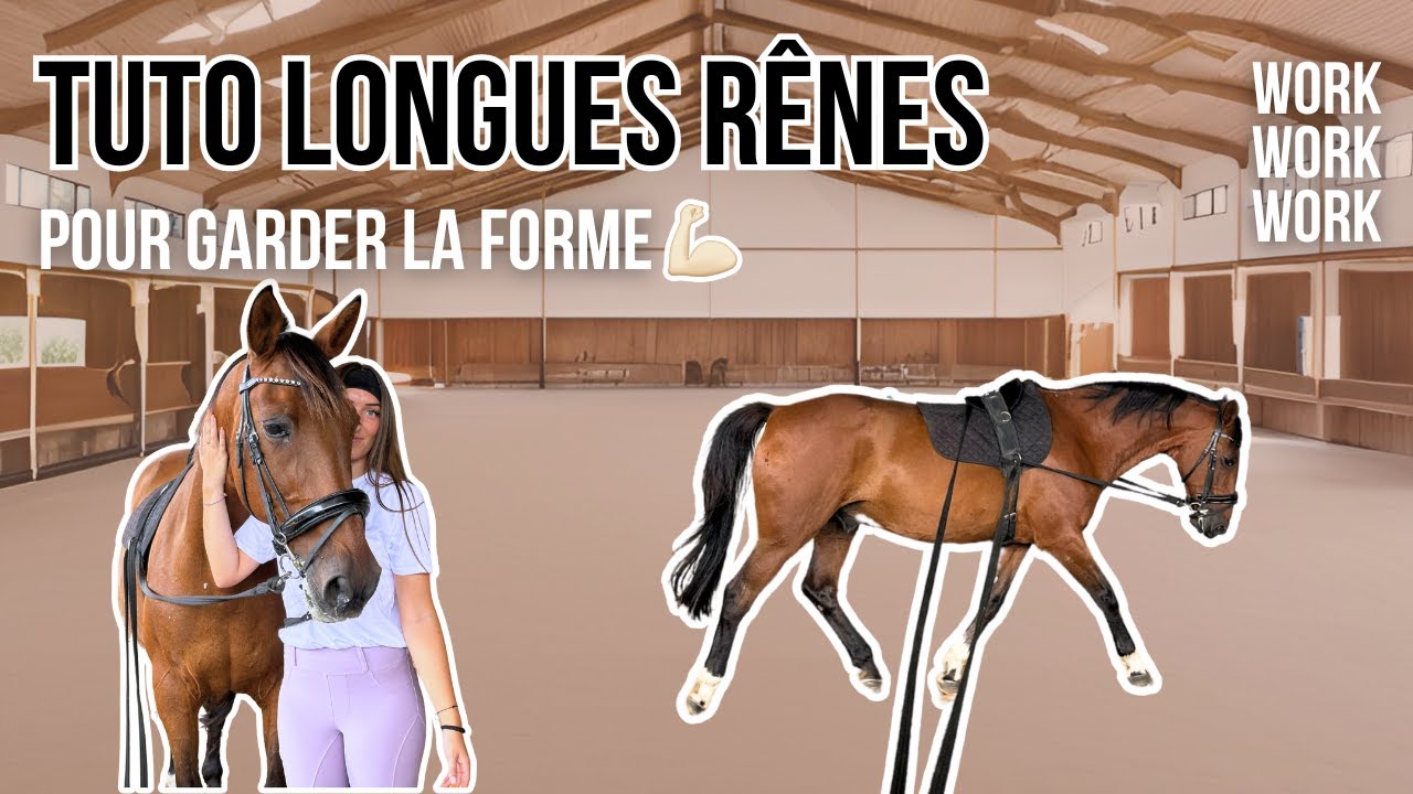 TUTO LONGUES RÊNES - Comment faire ? Quel matériel ?