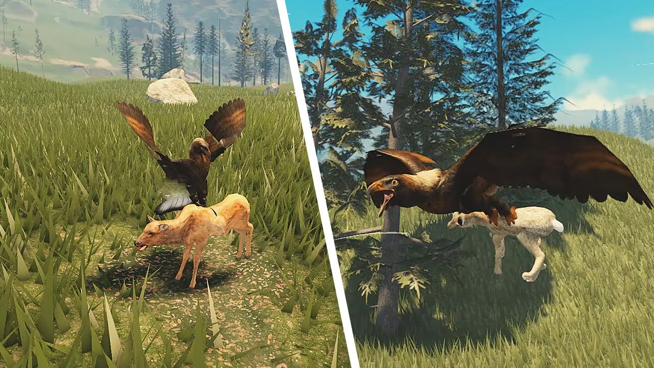 Обновление Bald & Golden Eagle! | ROBLOX Yellowstone Unleashed