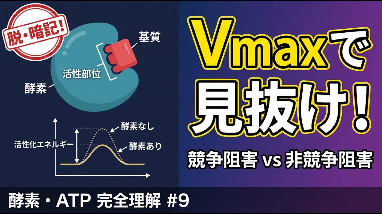 【ゼロからわかる高校生物#9】酵素とATPが一気に繋がる！「Vmaxで見抜く阻害」＆「エネルギー通貨」の本質【脱・暗記】