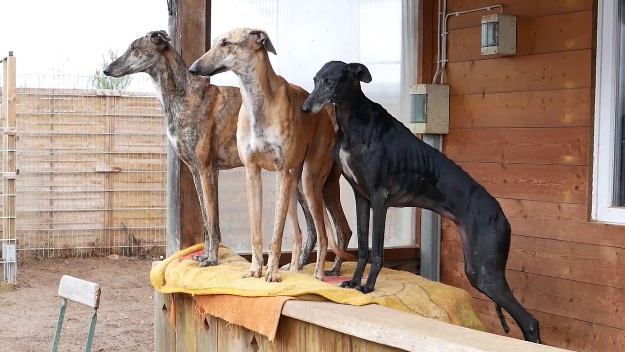 Warten auf das Leben