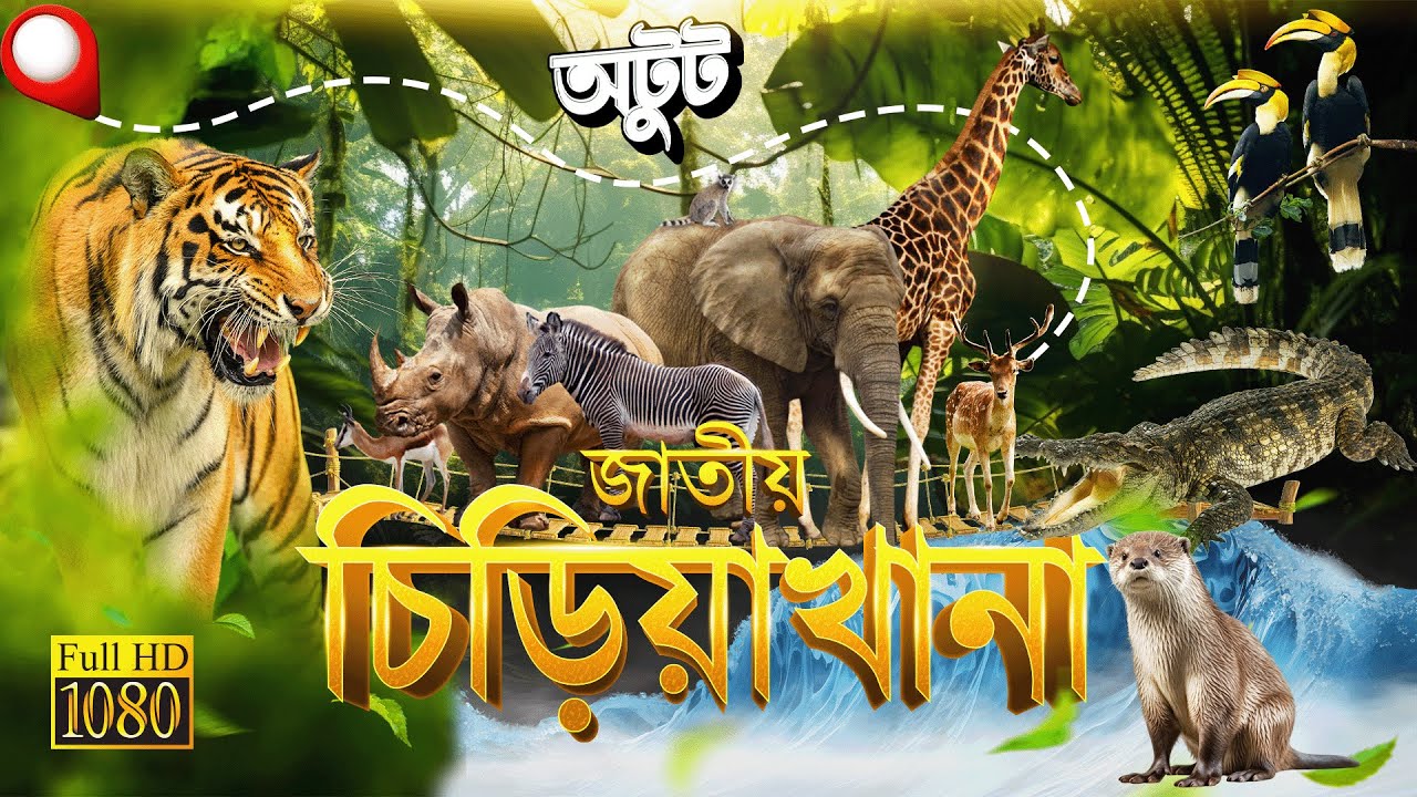 অপরুপ আশ্চর্য বাংলাদেশ জাতীয় চিড়িয়াখানা মিরপুর: Bangladesh National Zoo, Mirpur, Dhaka | Otut (অটুট)