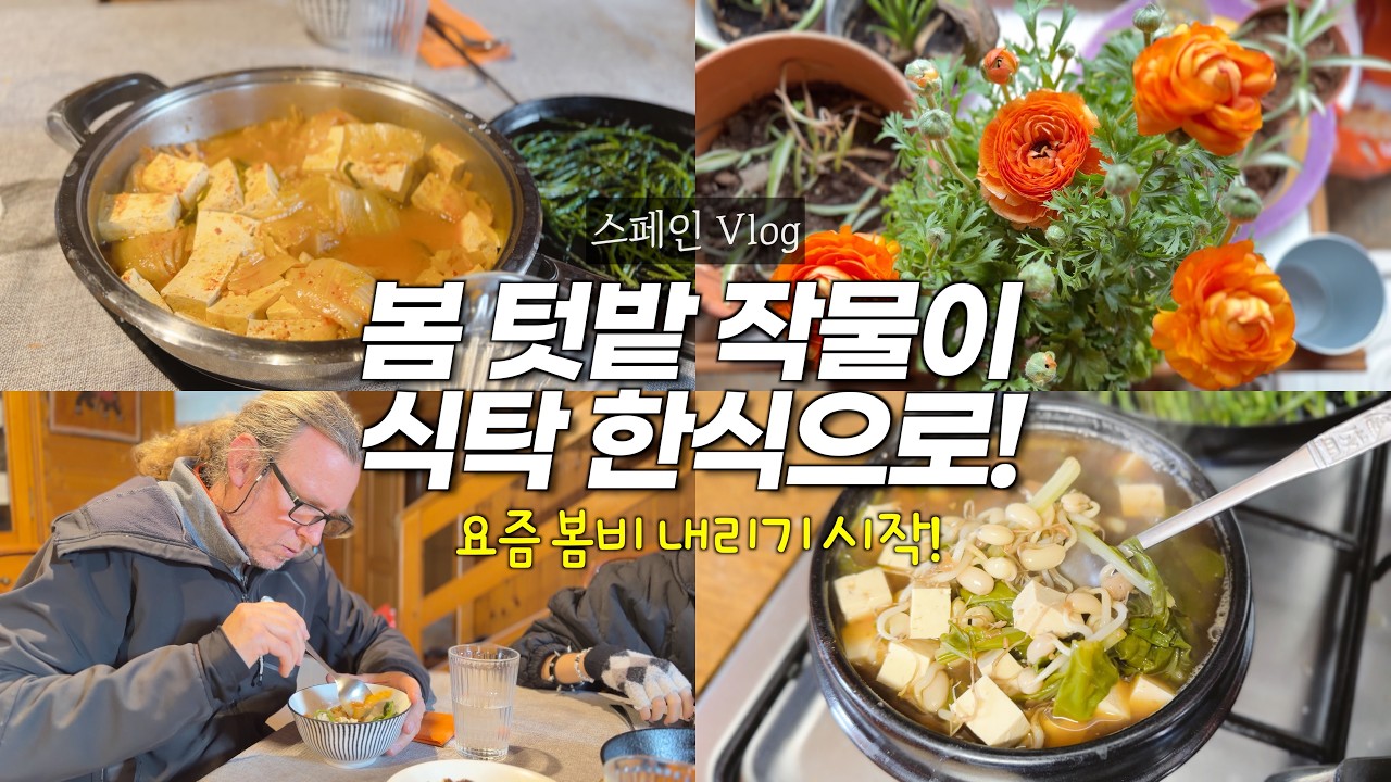 스페인 지중해 텃밭으로 만든 K-집밥 폼 미쳤다ㄷㄷ 비 맞고 나갔다가 오히려 좋아진 사연?