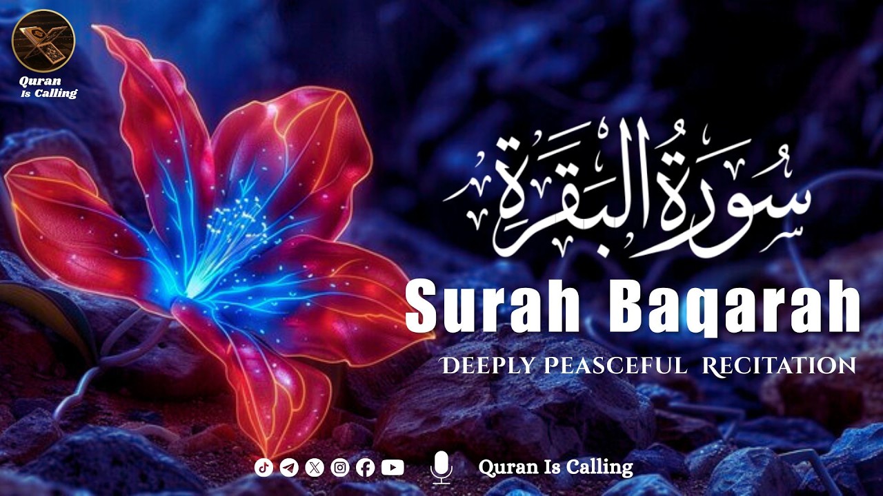 🌙 Surah Baqarah (سورة البقرة) | The Heart of the Quran | Calm & Soul Healing Recitation
