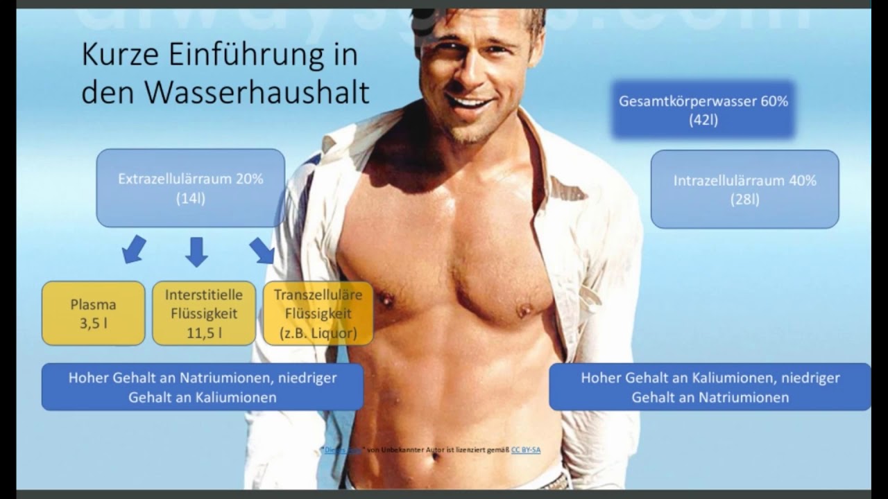 Angstthema - Elekrolyte - Wasserhaushalt - S&auml;ure Basen