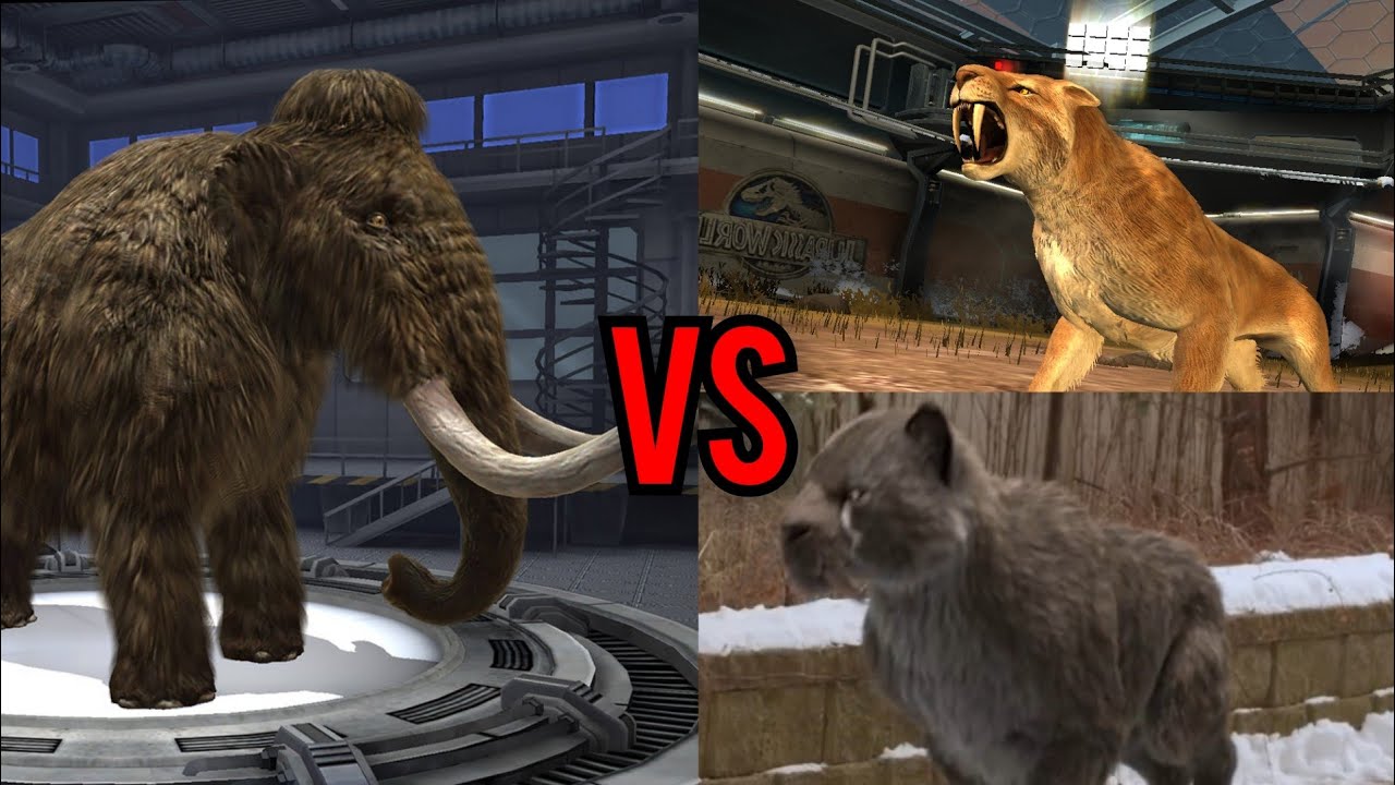 TIGRES DENTE DE SABRE (Diego e Shira) VS MAMUTE (Manny) - Batalha Cenozoica - ep 3