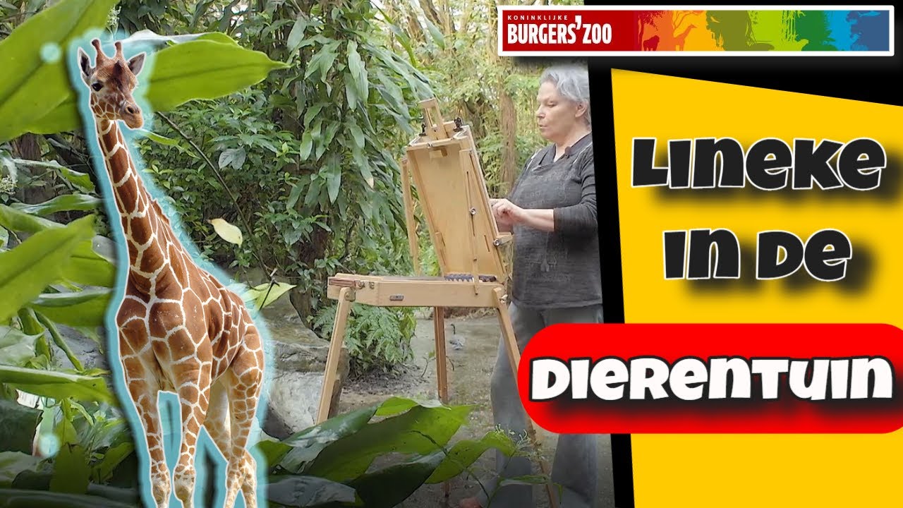 Dieren tekenen in dierentuin Burgers Zoo - Giraffe - Dier 3