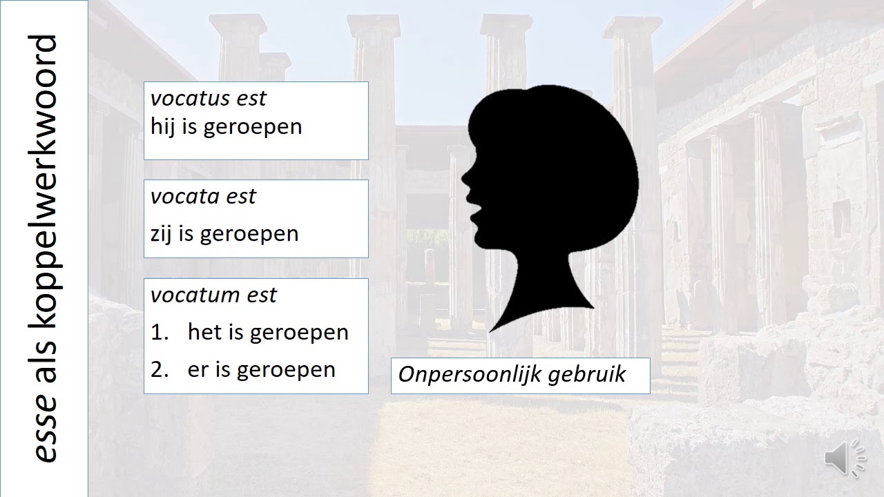 ppp met esse