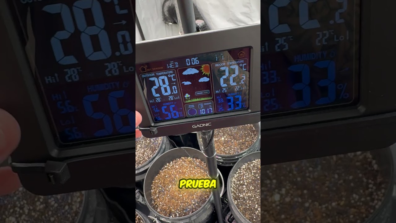 Probando Term&oacute;metro Higr&oacute;metro Digital gadnic en el culti🌱🧪🚀🔬