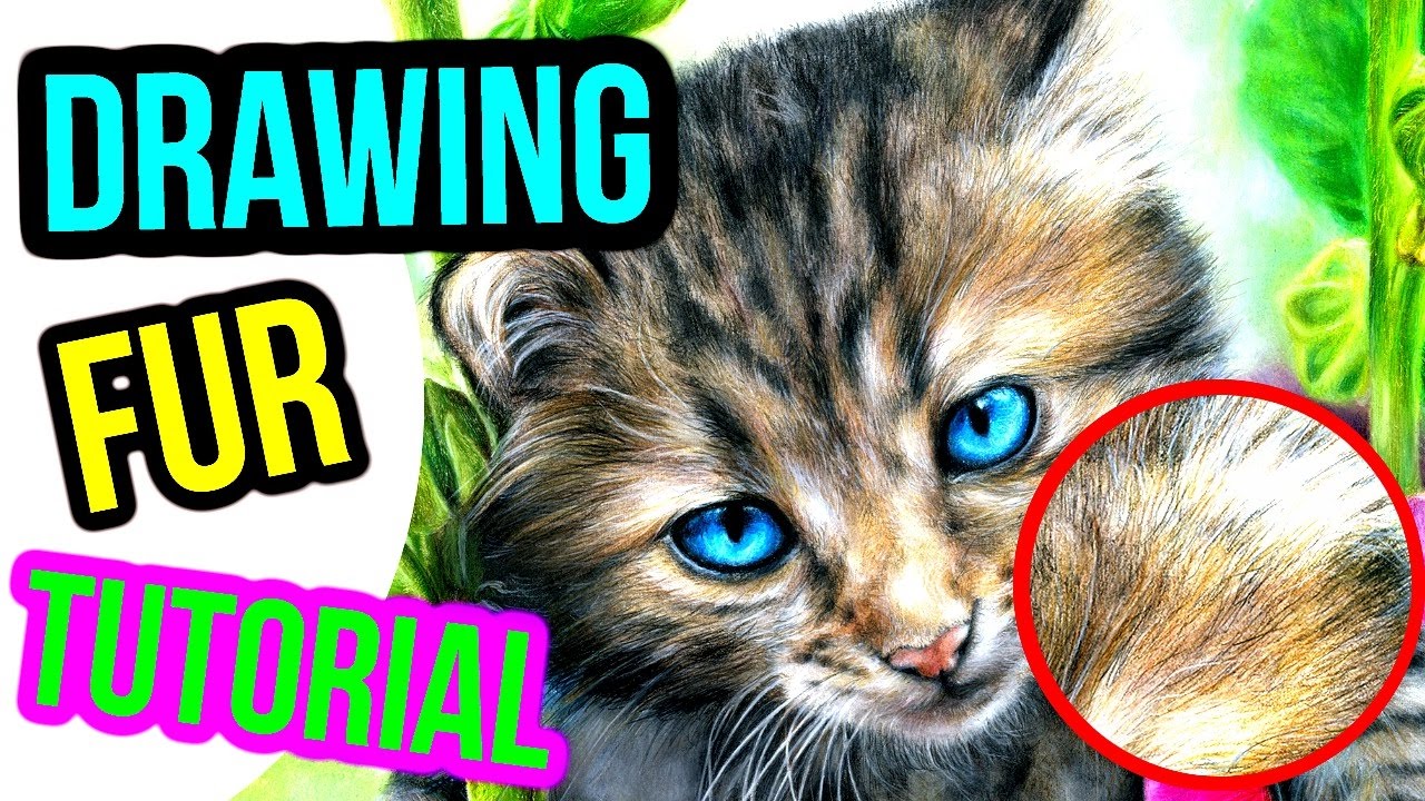 HOW TO DRAW REALISTIC FUR! Coloured Pencil Drawing Tutorial | Step by Step