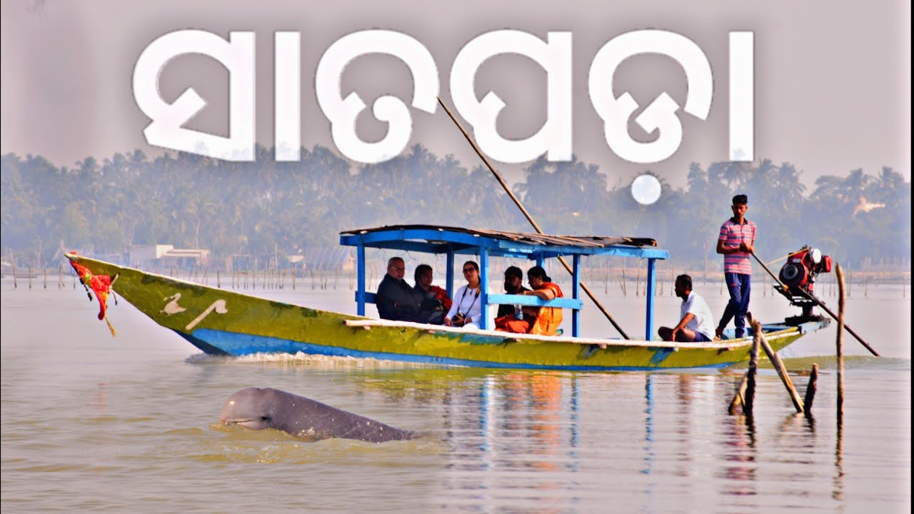Beauty Of Satapada | Dolphin Sanctuary puri odisha | Day 2 #touristplace #satapada #chilika