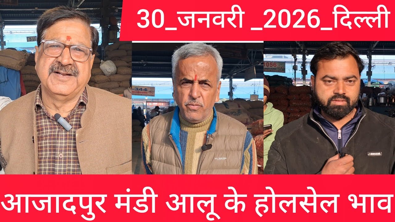 January 30, 2026 दिल्ली 🥔आलू के भाव Azadpur Delhi mandi today #PotatoMarket #delhipotatomarket 
