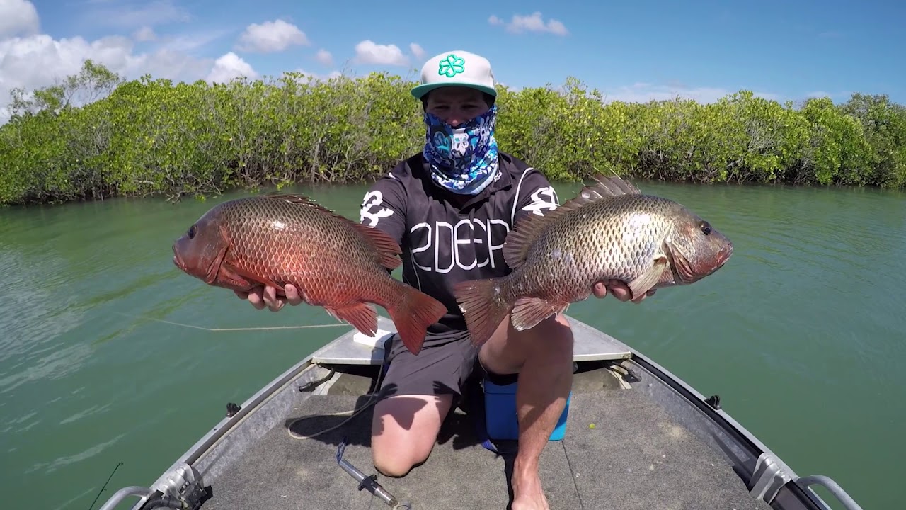 Catching Mangrove Jack in Paradise