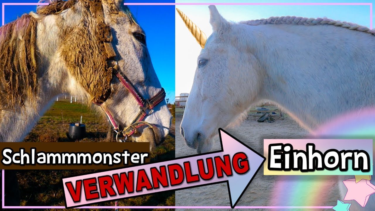 Vom SchlammMonster zum EINHORN ✮ VERWANDLUNG ♥ Anita Girlietainment Pferd