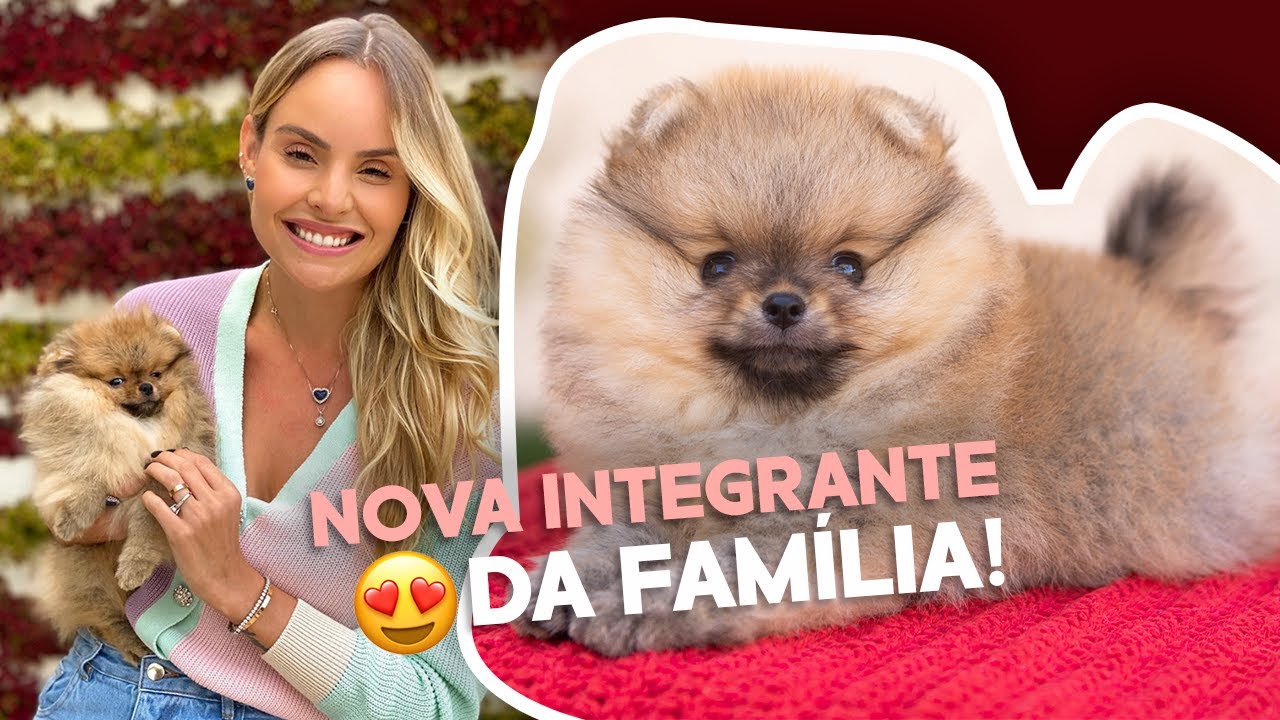 Vlog: NOVA INTEGRANTE DA FAMÍLIA! 🐶😍 | Layla Monteiro