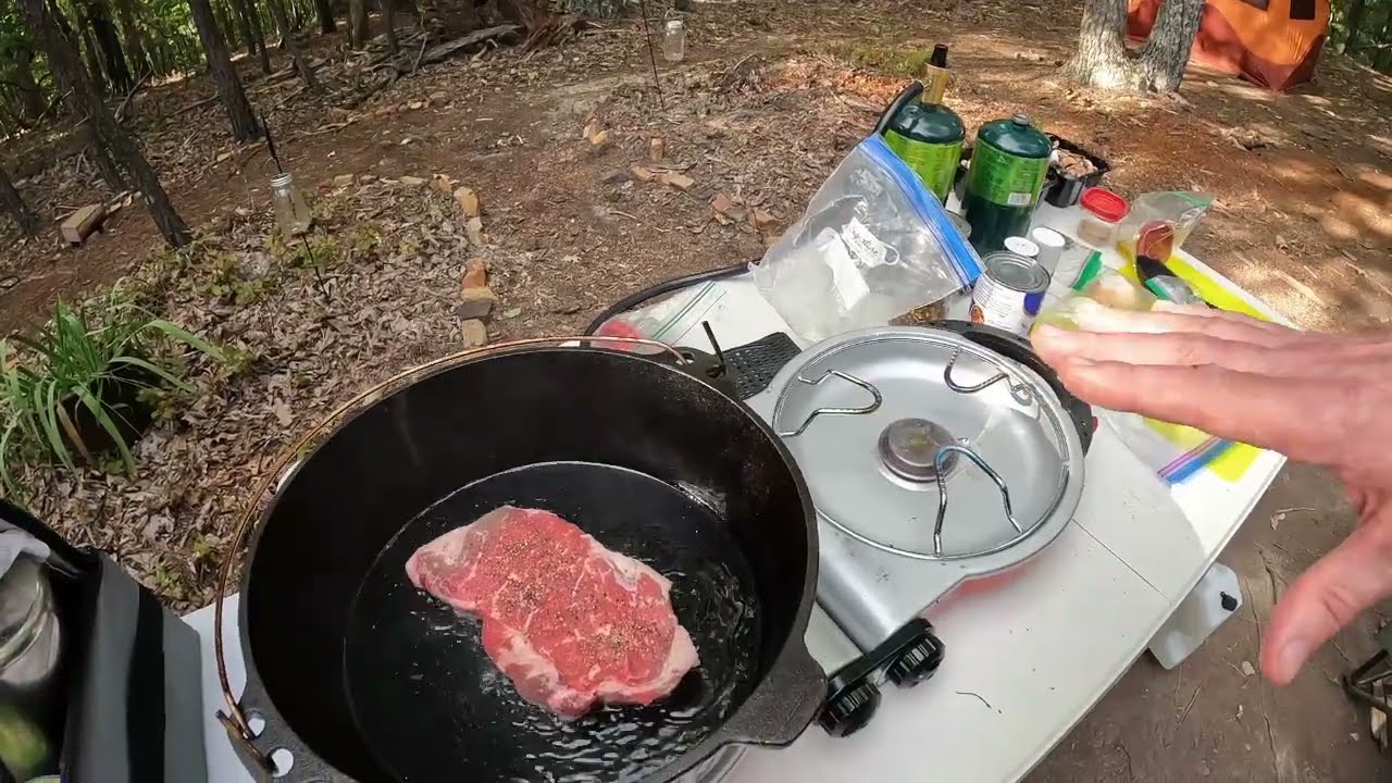 One Pot Beef Stroganoff in camp