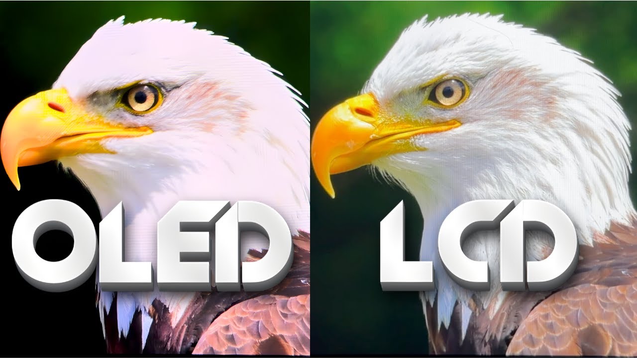 OLED OU LCD QUAL É O MELHOR? TUTORIAL DE CALIBRAÇAO DE COR