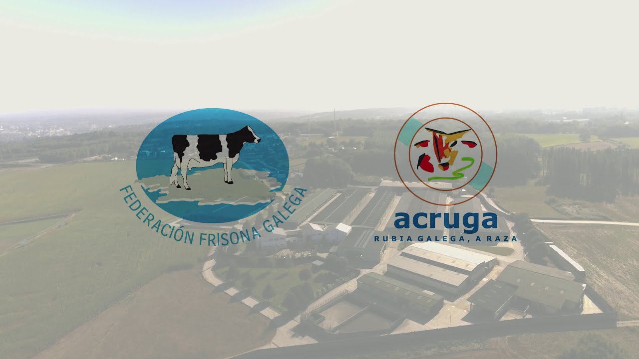 V&Iacute;DEO CORPORATIVO 