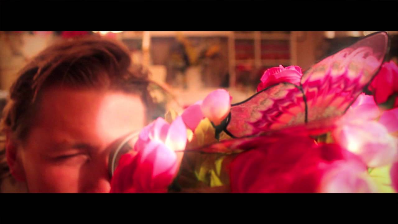 The Shellys - Luxury