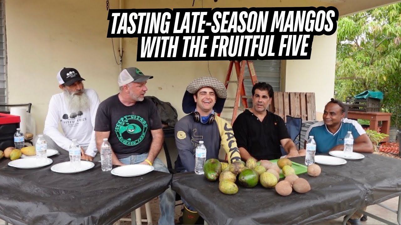 Tasting Late-Season Mangos with The Fruitful Five