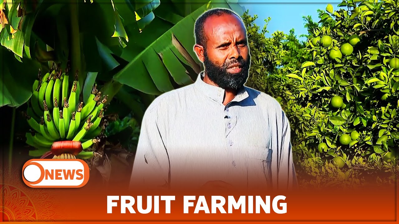 FRUIT FARMING