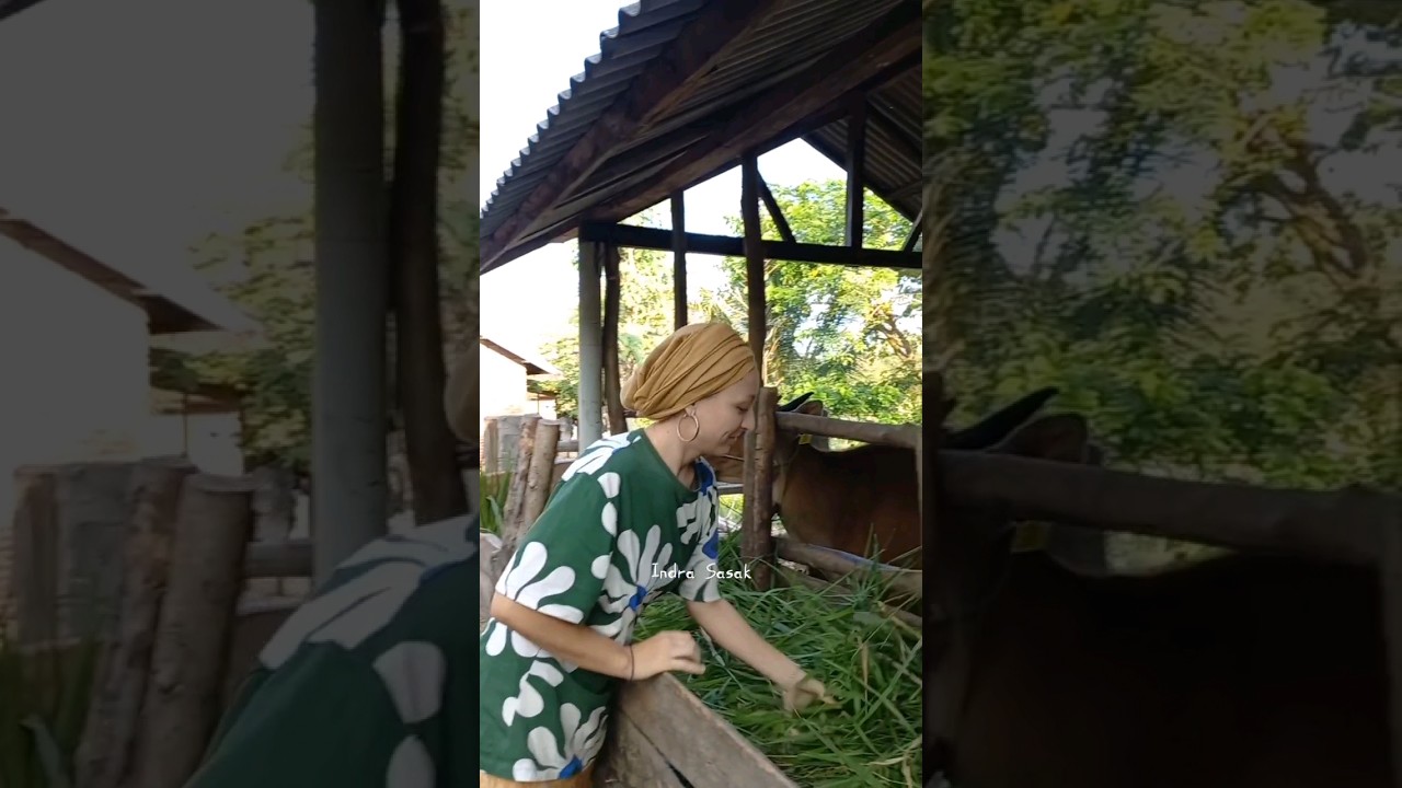 Bisa Kali gini Doang mah ! #bulekampung