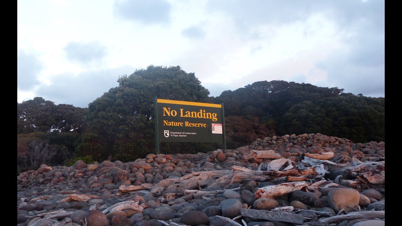 NZ #13 Hauturu-O-Toi, Little Barrier Island