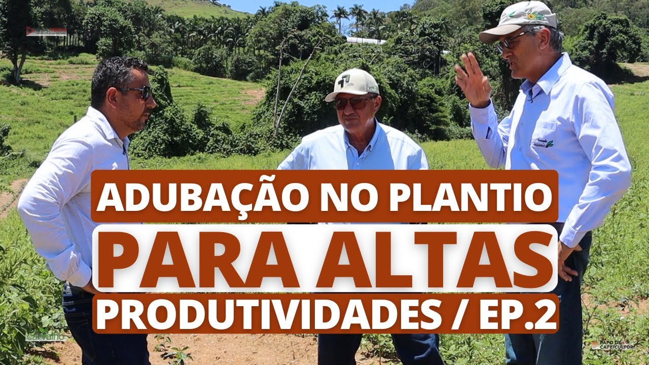 Adubação no plantio, formação de lavoura de café para altas produtividades - E.p 02