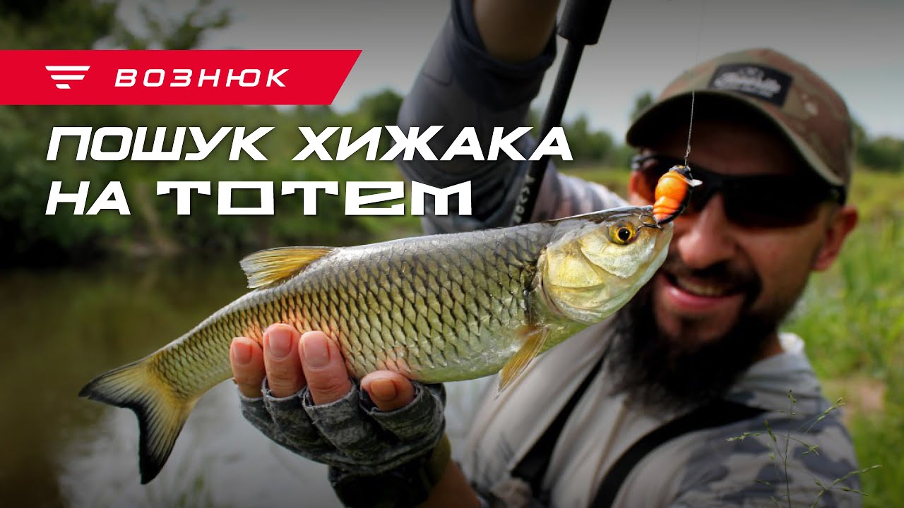 Головень, судак, окунь та бонусний ЯЗЬ! Ловля хижака на річці Случ