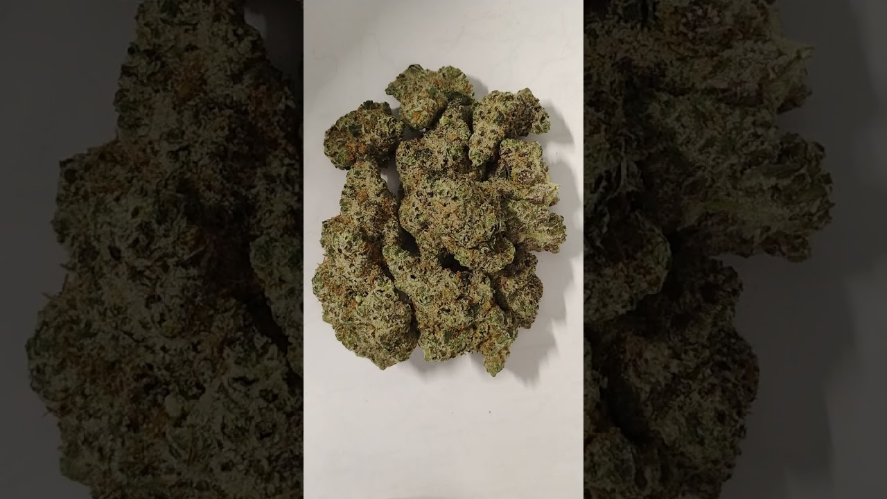🔥Cherry Pie OG🔥 Cannabis strain review/W Dr. Greenbody