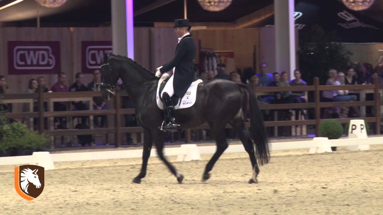 WDM Lier 2015 #8 in CDI 4* WDM VIAN GROUP GPF Anne Van Olst & Vorst