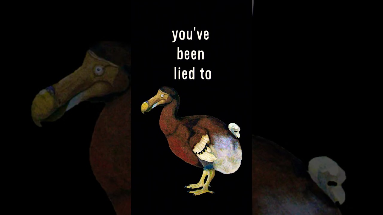 the SCARY reason the dodo went extinct