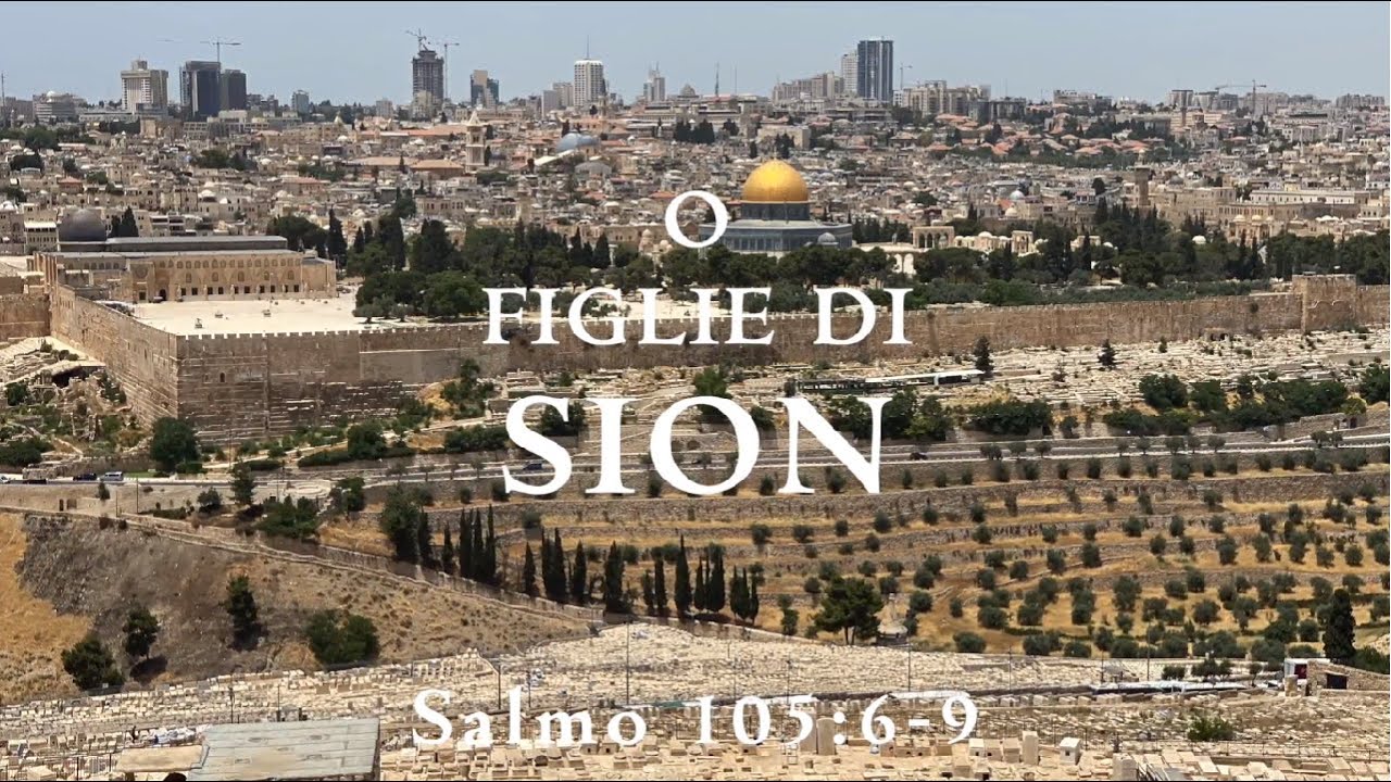 Sion - Zion (Cover)