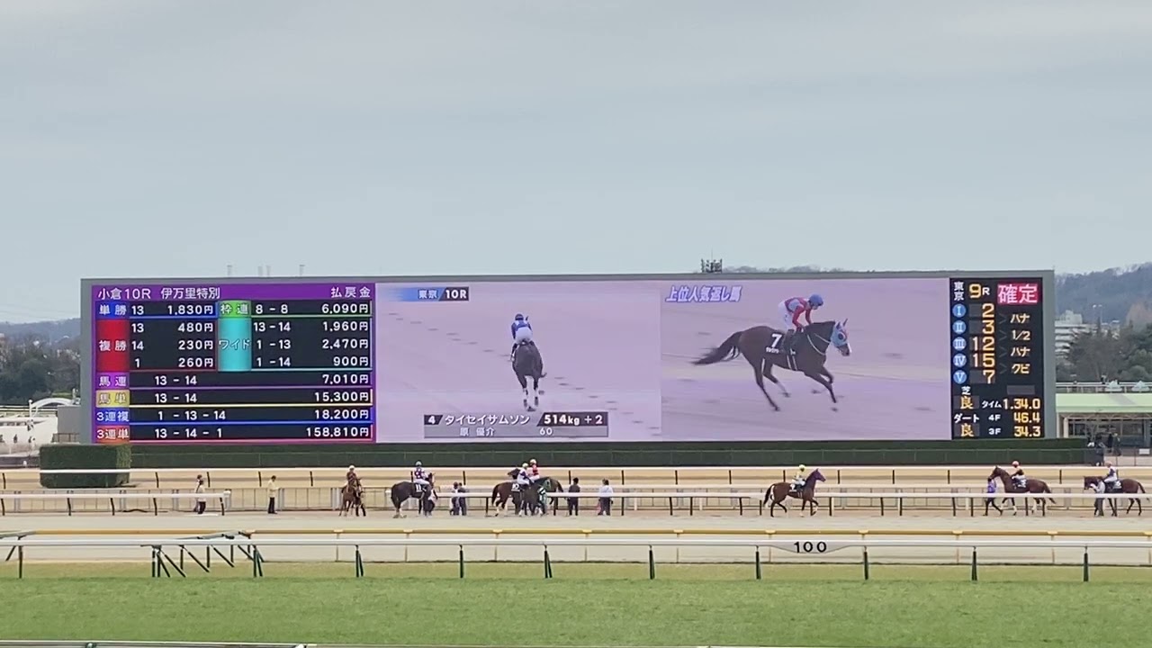 東京10レース バレンタインステークス 本馬場入場