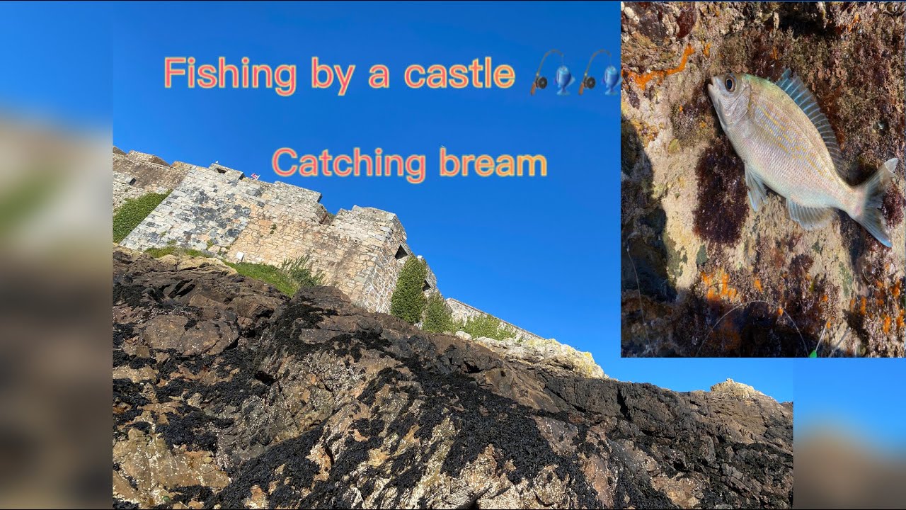 UK Fishing On Castle for Black Bream!! Garfish