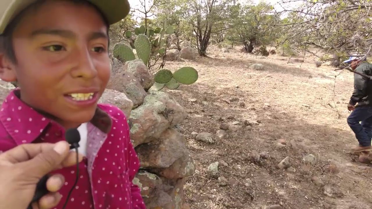 Leyenda zona arqueologica en altamira
