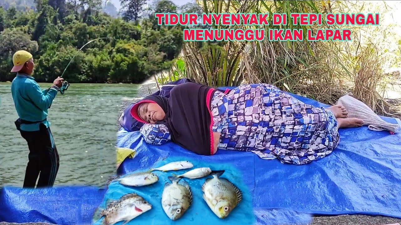 TIDUR NYENYAK DI TEPI SUNGAI MENUNGGU IKAN LAPAR.