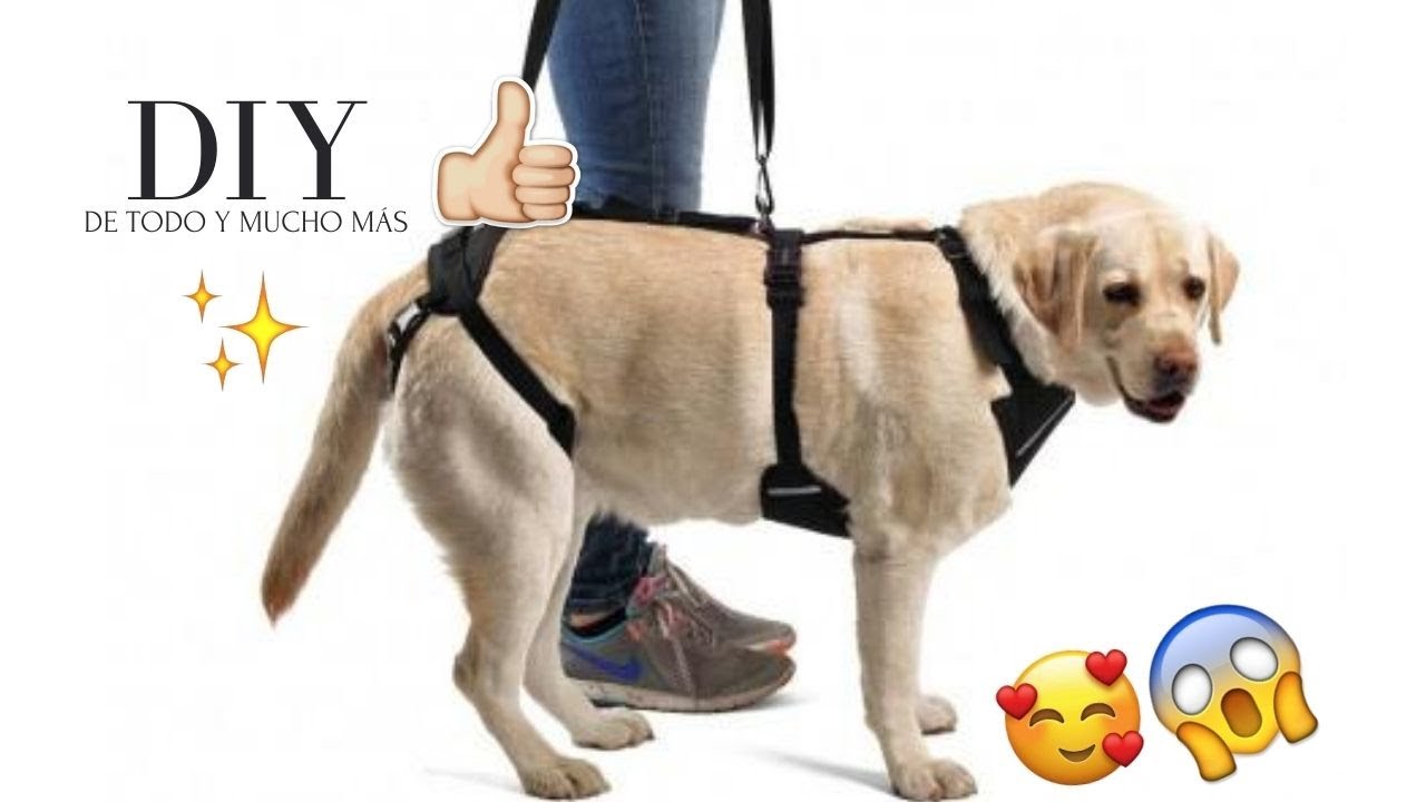 CÓMO HACER UN ARNÉS CASERO PARA PELUQUERIA CANINA | TUTORIAL