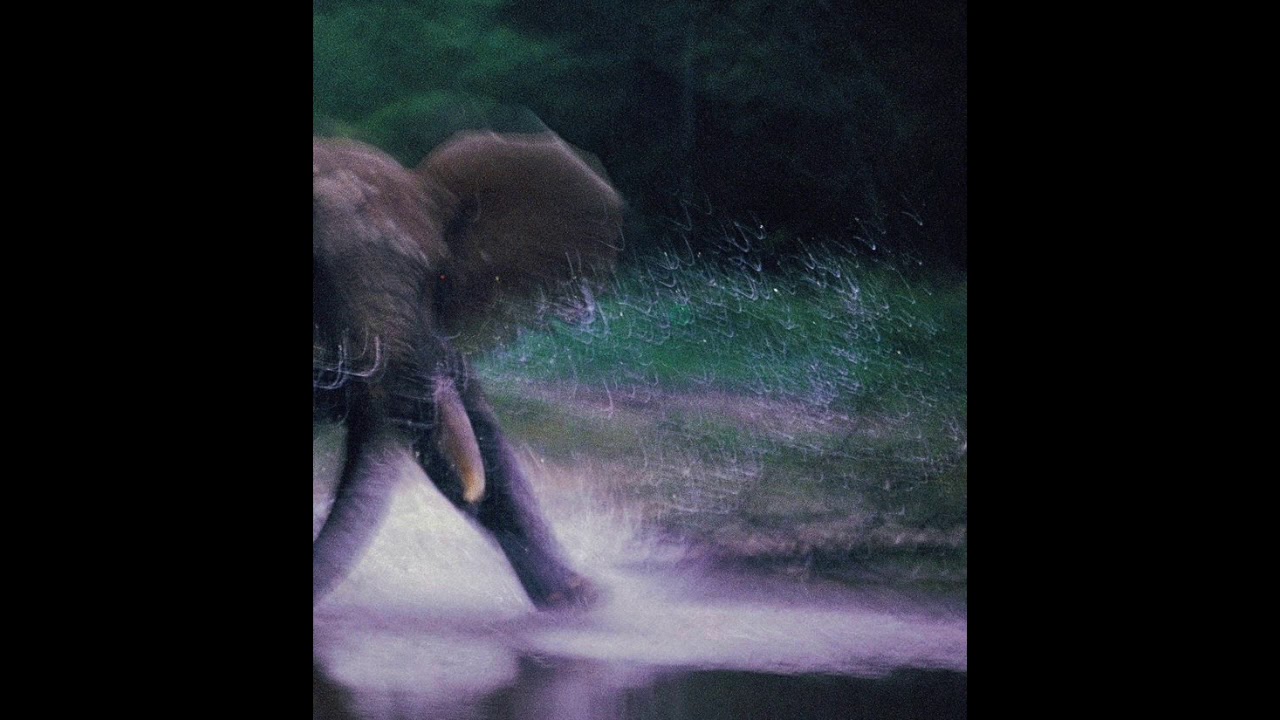 [FREE] Lucki type beat 