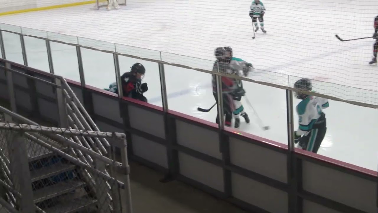 3-2-19 PAHL Playoff vs North Pittsburgh 188 4-1 Loss