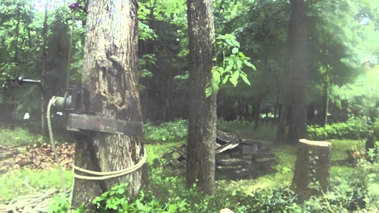 Cómo Montar Un Árbol Entero Con El Grcs  Consejos Técnicos De TreeStuff Com