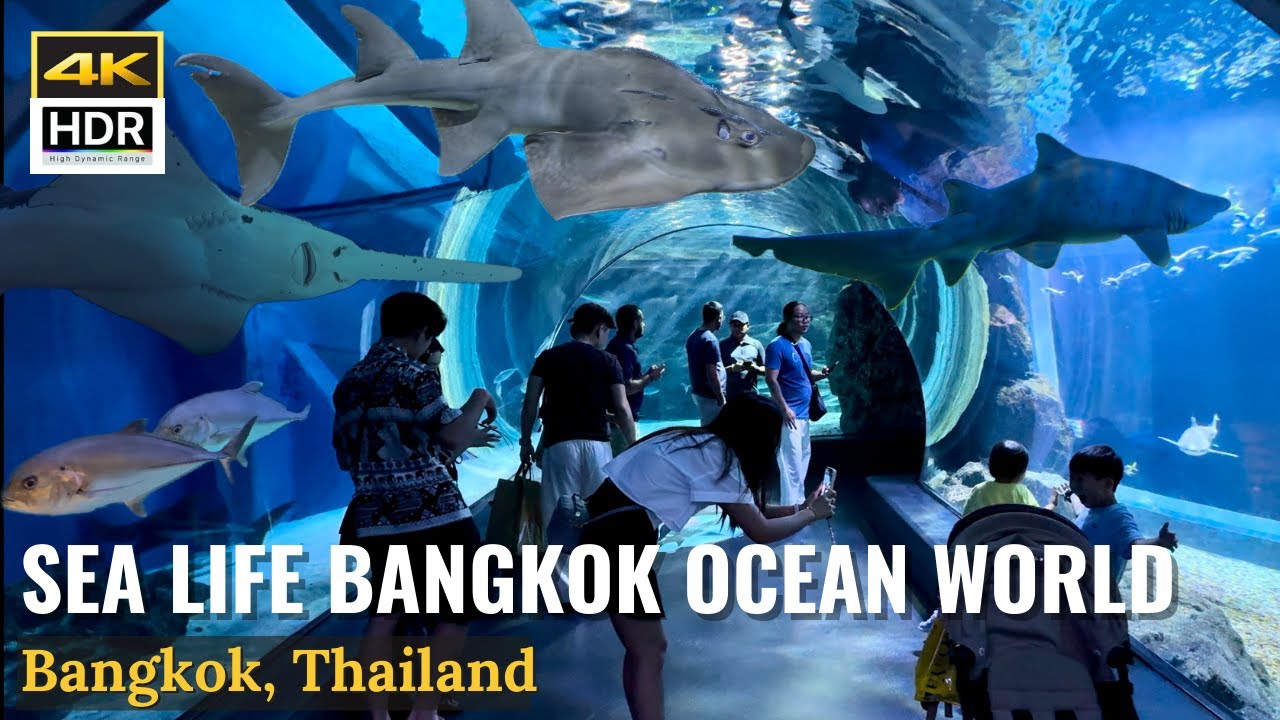 Dive into Underwater World at SEA LIFE BANGKOK Aquarium, Thailand! [4K HDR]