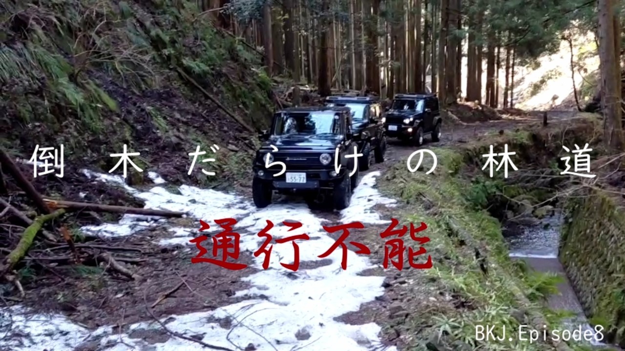 【兵庫県養父市大谷　八木谷・大谷線】倒木だらけの林道を突破｜牽引ロープで道を作る雪山アタック【BKJ Episode8】前半