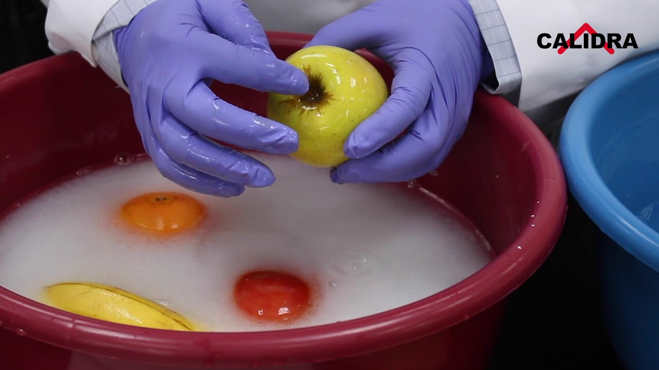 Desinfección de alimentos con Cal Hidratada. | Prueba de laboratorio.