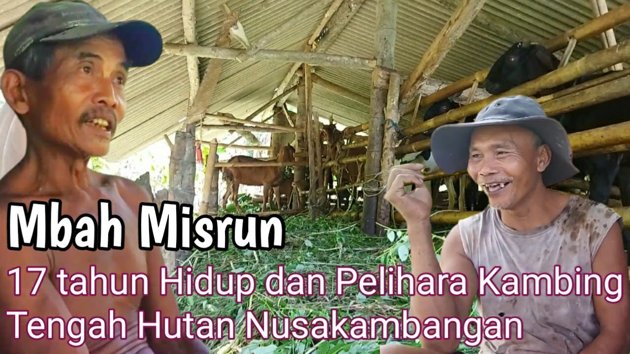 SUASANA DAN KEHIDUPAN WARGA KAMPUNG PULAU NUSAKAMBANGAN