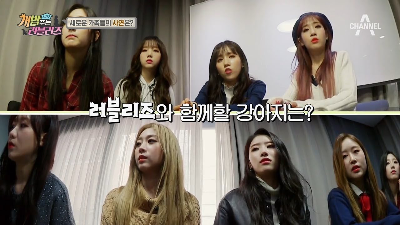 [예능] 개밥주는남자 시즌2 41회_180203 - 러블리즈, 3총사 犬, 너는 내 Destiny ♥