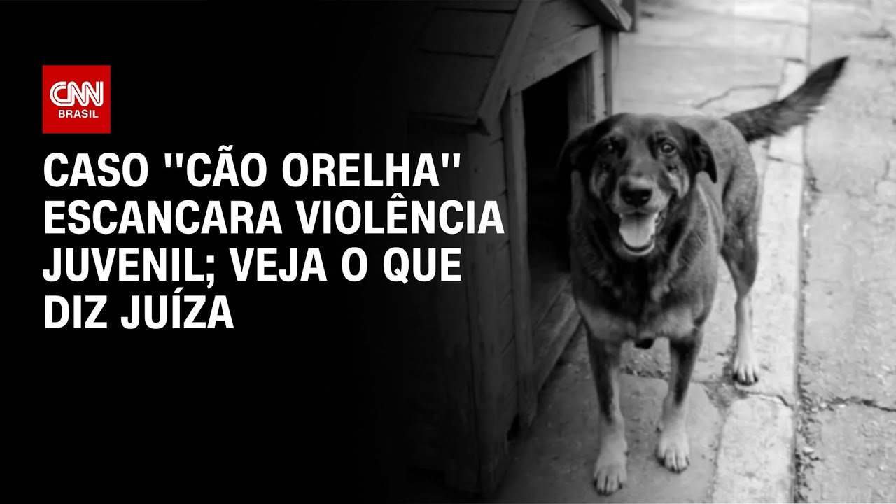 Juíza da Vara de Infância e Juventude repercute caso do Cão Orelha | AGORA CNN